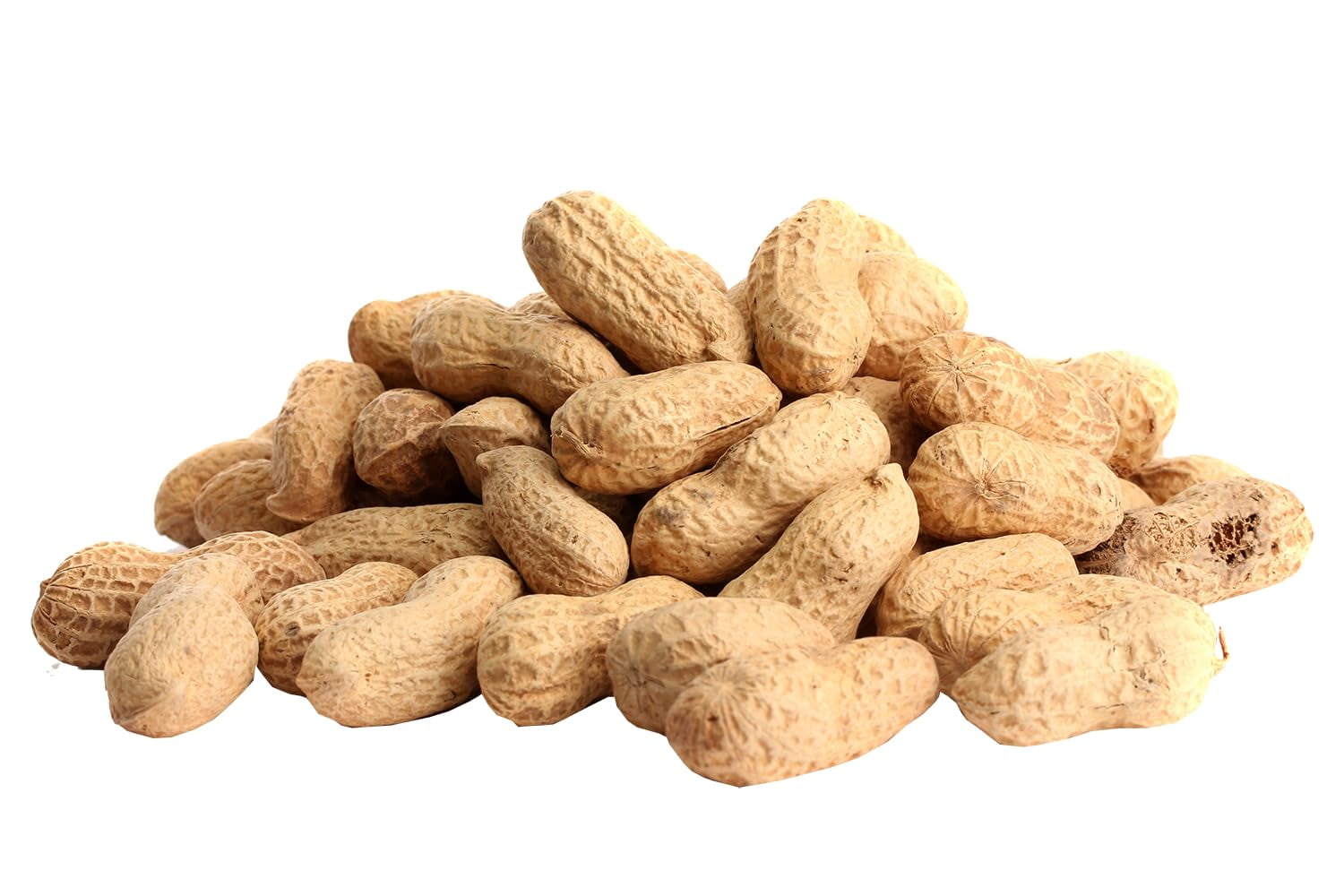 CountryMax USA Grown in-Shell Peanuts for Wildlife Squirrels Chipmunks Raccoons Deer Birds (10 Pounds)