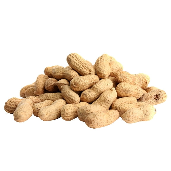 CountryMax USA Grown in-Shell Peanuts for Wildlife Squirrels Chipmunks Raccoons Deer Birds (10 Pounds)