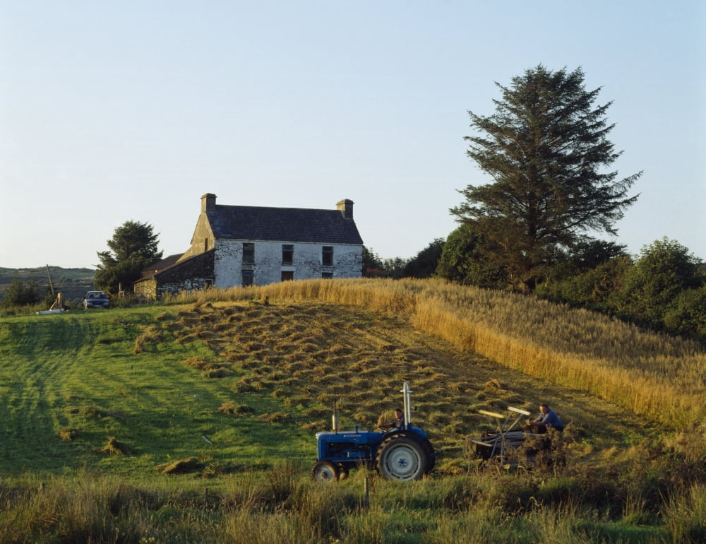 County Cork Ireland Farmer On Tractor Harvesting Field Canvas Art - Ken Welsh  Design Pics (34 x 26)