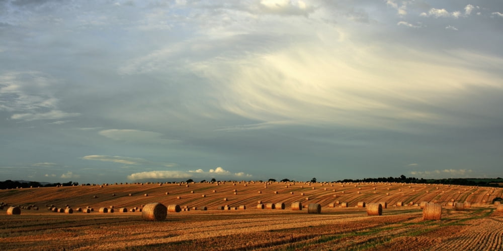 County Cork Ireland Hay Bales After The Harvest Near Mallow Canvas Art - Peter Zoeller Design Pics (44 x 21)
