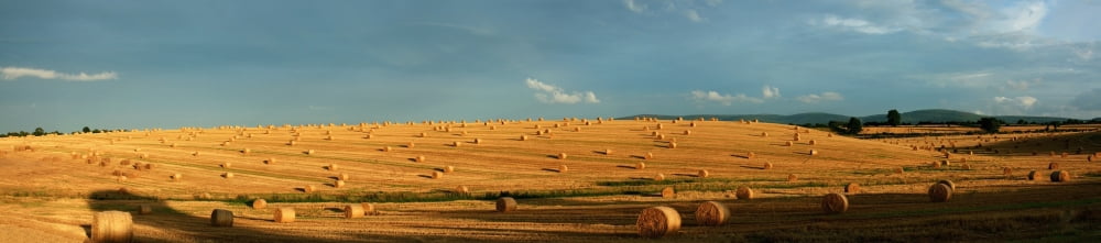 County Cork Ireland Hay Bales After The Harvest Near Mallow Canvas Art - Peter Zoeller Design Pics (46 x 10)