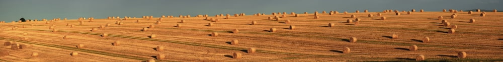 County Cork Ireland Hay Bales After The Harvest Near Mallow Canvas Art - Peter Zoeller Design Pics (70 x 8)