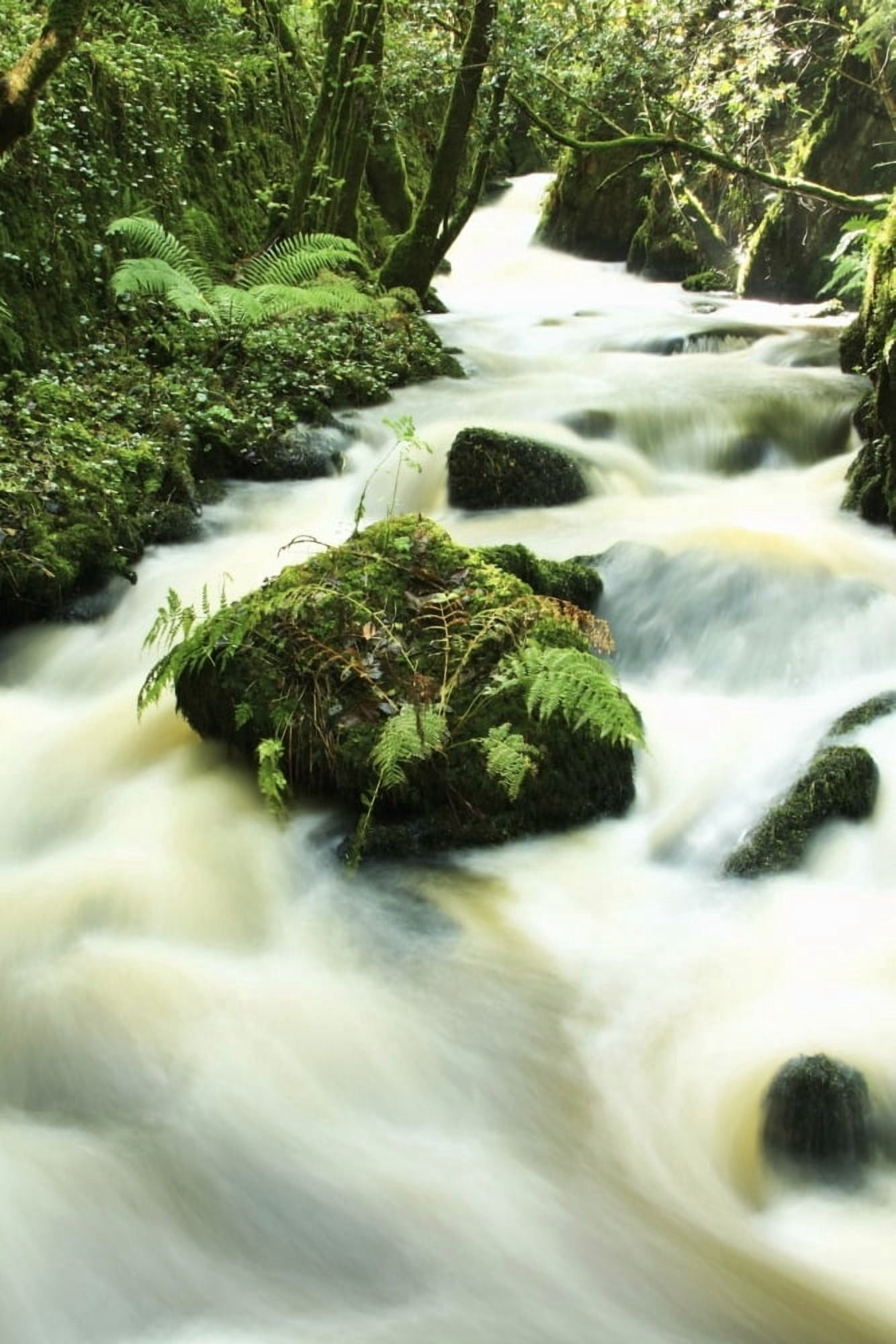 County Cork Ireland River Canvas Art - Peter Zoeller Design Pics (12 x 18)