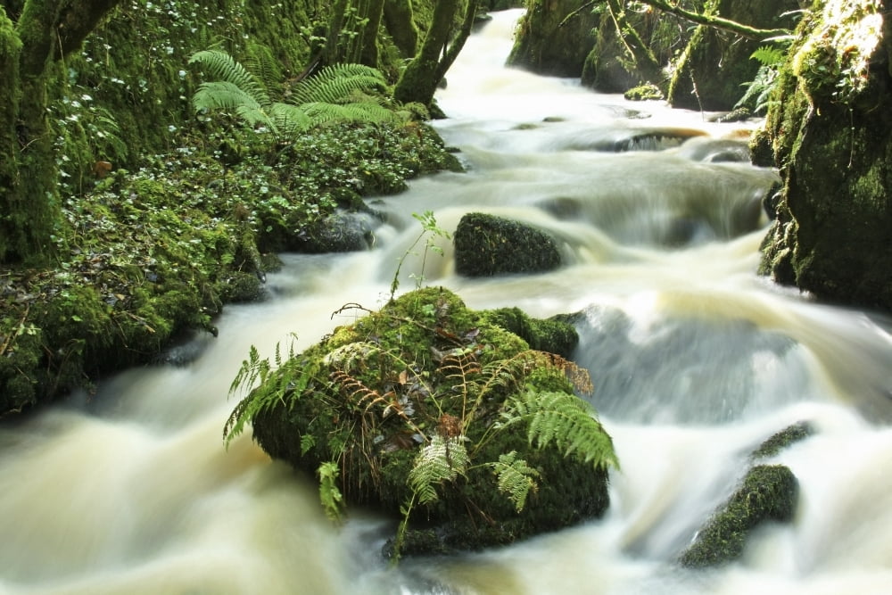 County Cork Ireland River Canvas Art - Peter Zoeller Design Pics (36 x 24)