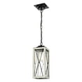 thumbnail image 1 of County Fair Pendant Black and Birchwood on Metal, 1 of 3