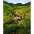 thumbnail image 1 of County Kerry Ireland Stream Near The Slieve Mish Mountains by The Irish Image Collection / Design Pics, 1 of 3