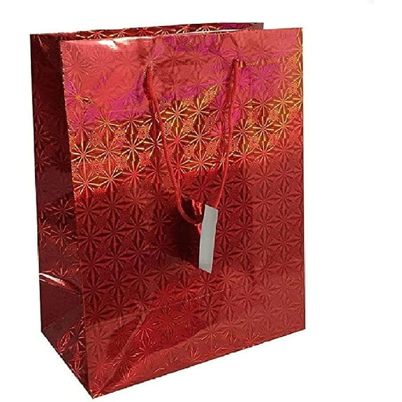 County Stationery Holographic Gift Bag (Pack of 12)