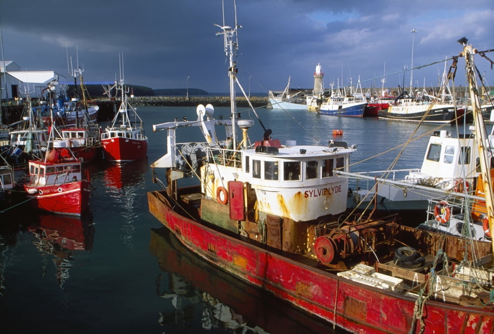 County Waterford Ireland Fishing Boats Canvas Art - Richard Cummins Design Pics (36 x 24)