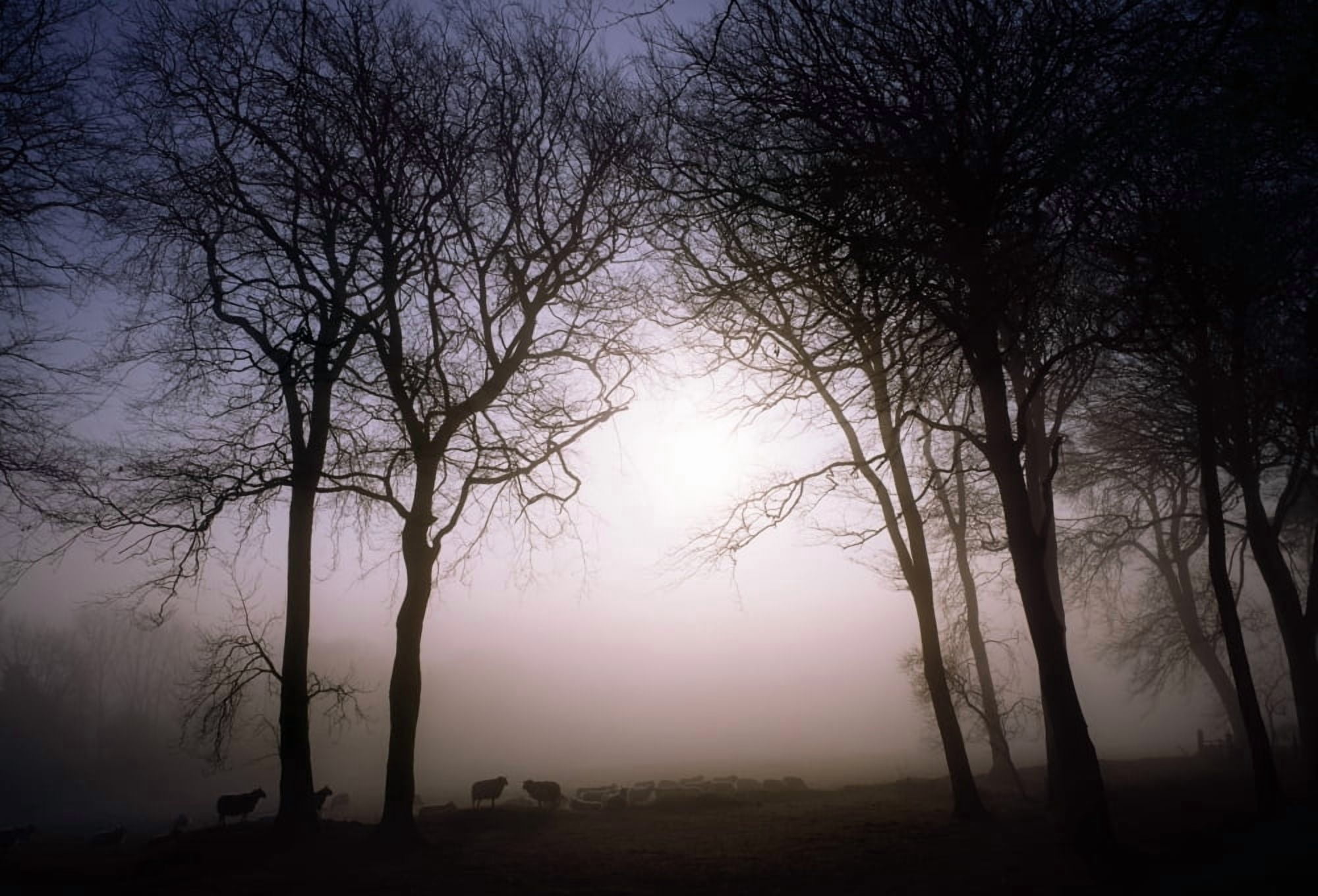 County Wicklow Ireland Canvas Art - The Irish Image Collection Design Pics (18 x 12)