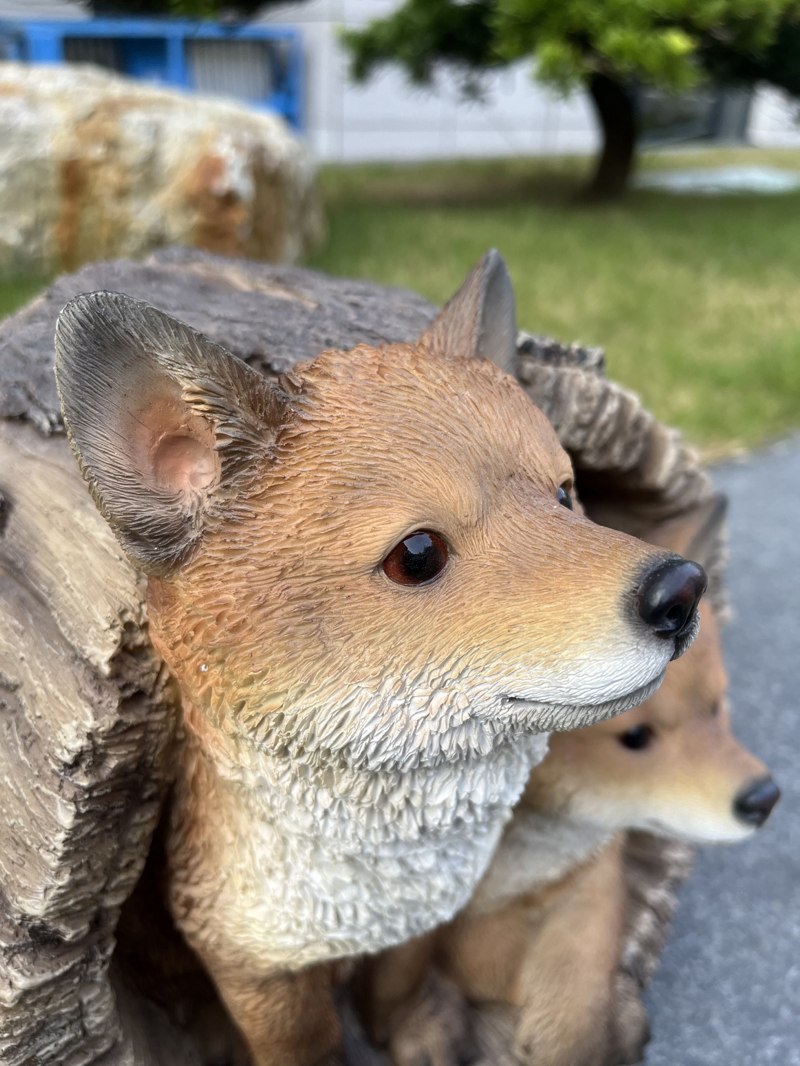 Couple Foxes in Stump (Hi-Line Exclusive)