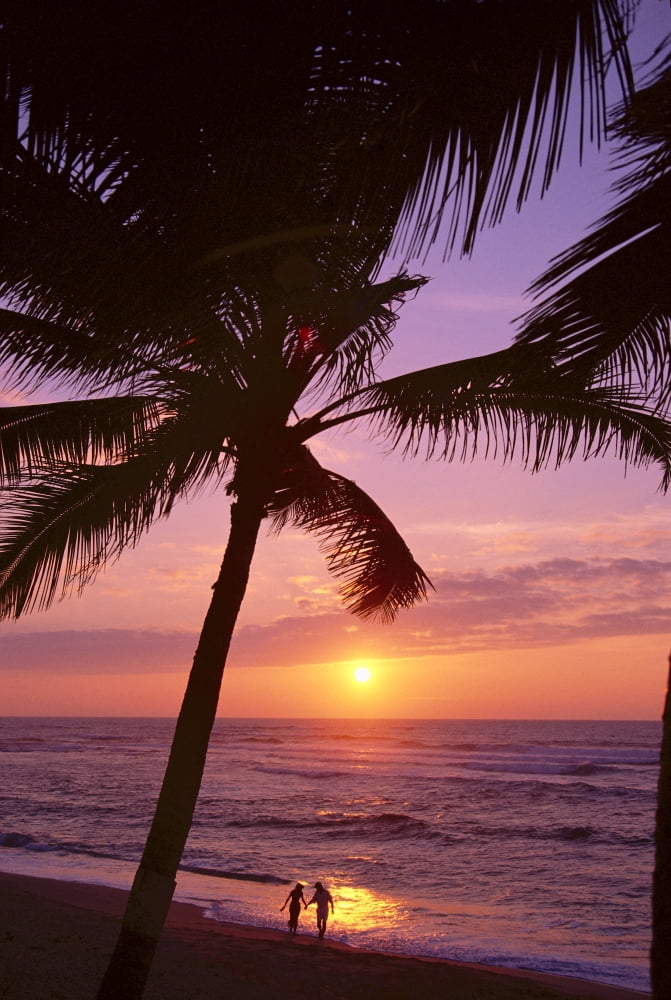 Couple In Distance On Beach Shoreline At Sunset Palms Silhouetted Purple Orange Sky Canvas Art - Tomas del Amo Design Pics (24 x 38)