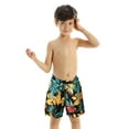 thumbnail image 1 of Couple Matching Swimsuits Bikini High Waisted Set Swim Trunks Bathing Suits for Men Son, 1 of 8