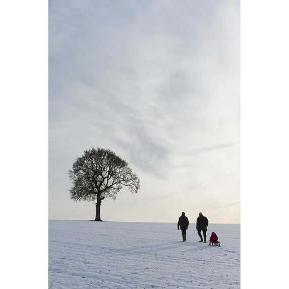 Couple Pulling Child On Sledge Up Hill Covered In Snow Towards Solitary Oak Tree Petersfield Hants Uk Print
