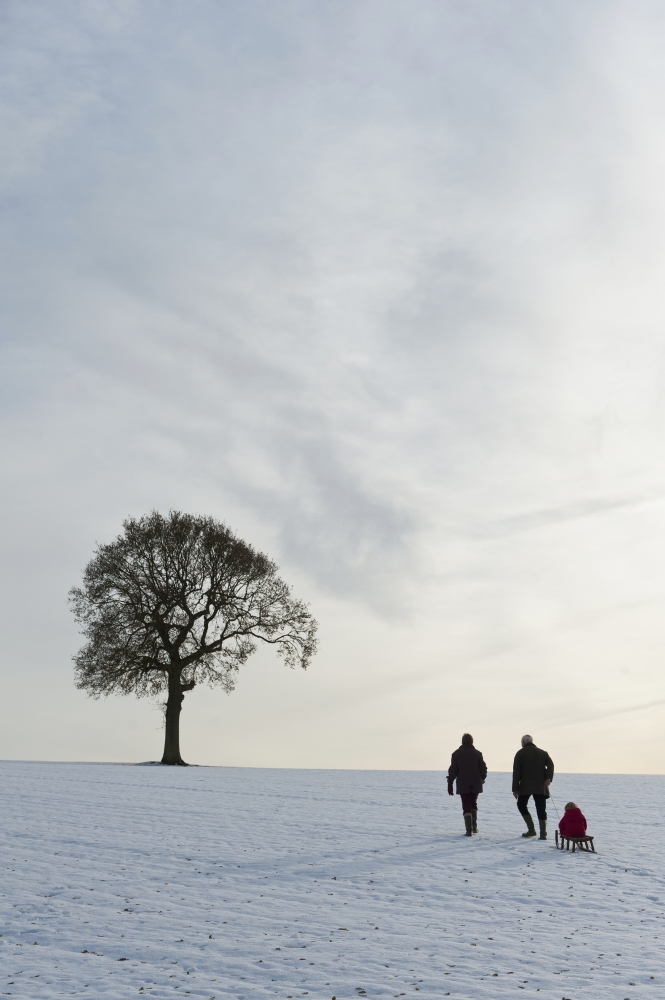 Couple Pulling Child On Sledge Up Hill Covered In Snow Towards Solitary Oak TreePetersfield Hants Uk Canvas Art - Ian Cumming Design Pics (12 x 19)