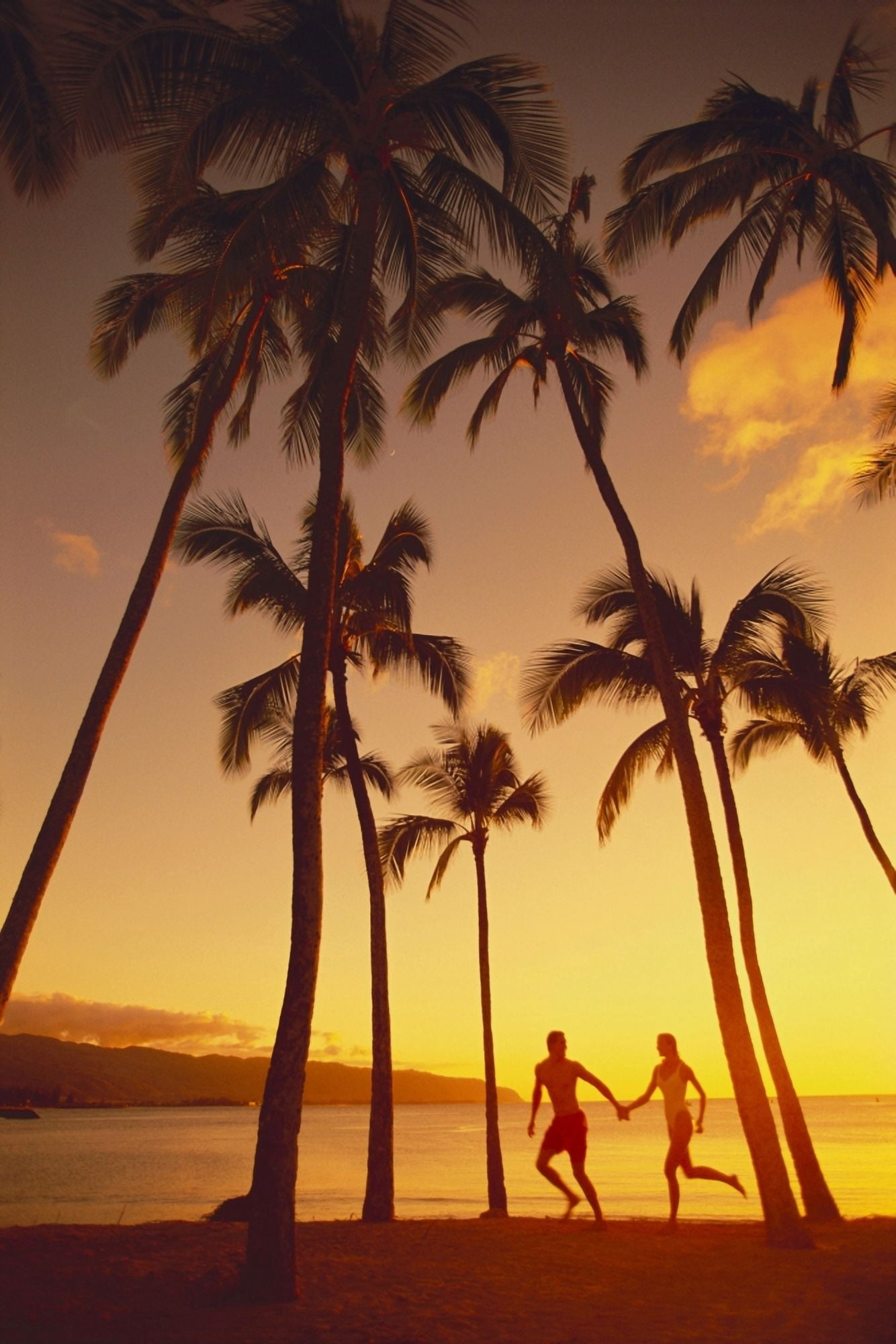 Couple Runs Together Holding Hands Golden Sunset Palm Trees Ocean In Background Canvas Art - Dana Edmunds Design Pics (24 x 38)