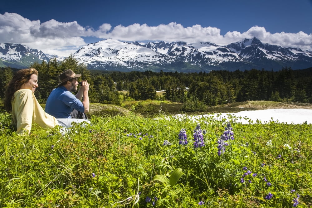 Couple Sits In Meadow Amongst Wildflowers And Enjoys View Of Kenai Mountains Along The Lost Lake Trail Near Seward Alaska Canvas Art - Jeff Schultz Design Pics (34 x 22)