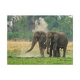 thumbnail image 1 of Couple of African Elephant Outdoor Wall Art Ready To Hang Unframed, 1 of 18