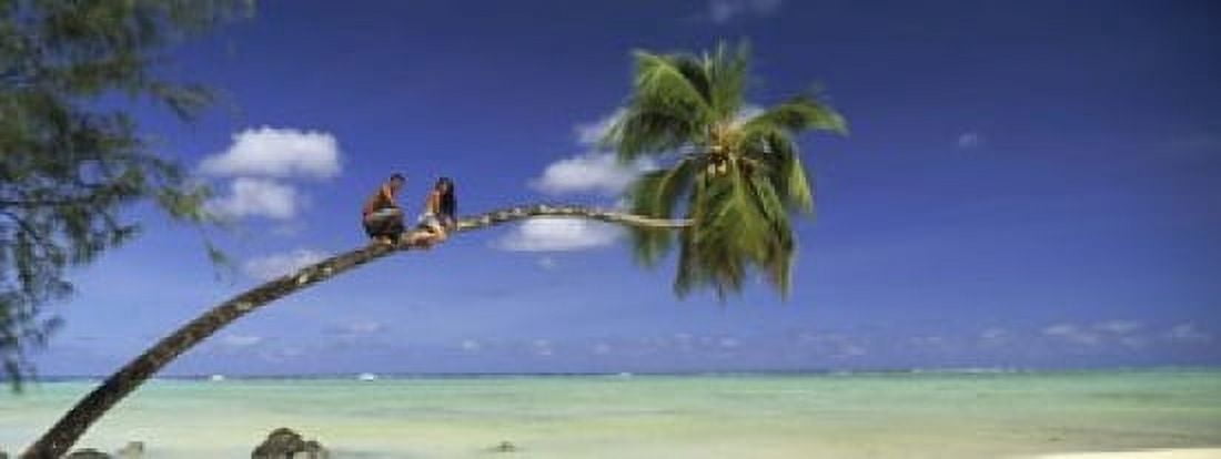 Couple on trunk of a palm tree on the beach Aitutaki Cook Islands Canvas Art - Panoramic Images (15 x 6)