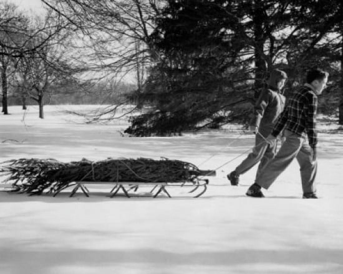 Couple pulling Christmas tree on sled Canvas Art - (24 x 36)