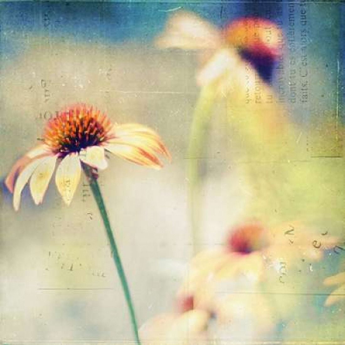 Courage Is Fear That Has Said Its Prayers Canvas Art - Dawn D Hanna (24 x 24)