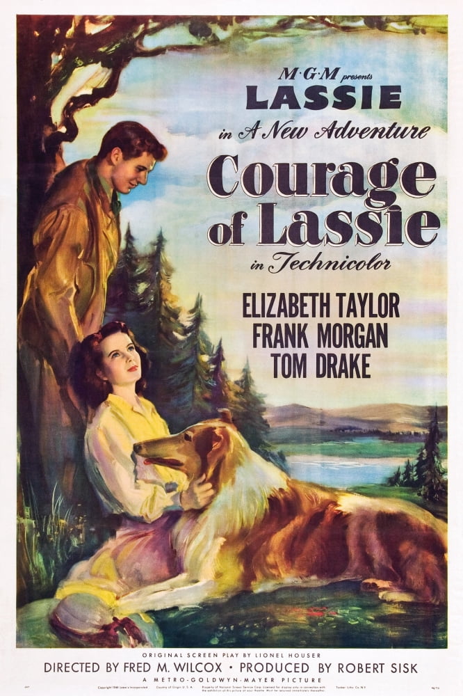 Courage Of Lassie U Canvas Art -  (24 x 36)