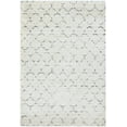 thumbnail image 1 of Couristan Davos Area Rug, Snow/Brown ,Rectangle, 2' x 3'11", 1 of 9