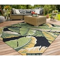 thumbnail image 1 of Couristan Covington Rainforest Indoor/Outdoor Area Rug, 2' x 4', Forest Green-Black, 1 of 3