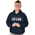 thumbnail image 1 of Course Im Right Im Bob Men's Big & Tall Graphic Hoodie Brisco Brands 3X, 1 of 5