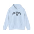 thumbnail image 1 of Court reporter Dad Father's Day Hoodie, Gifts, Hooded Sweatshirt, 1 of 4