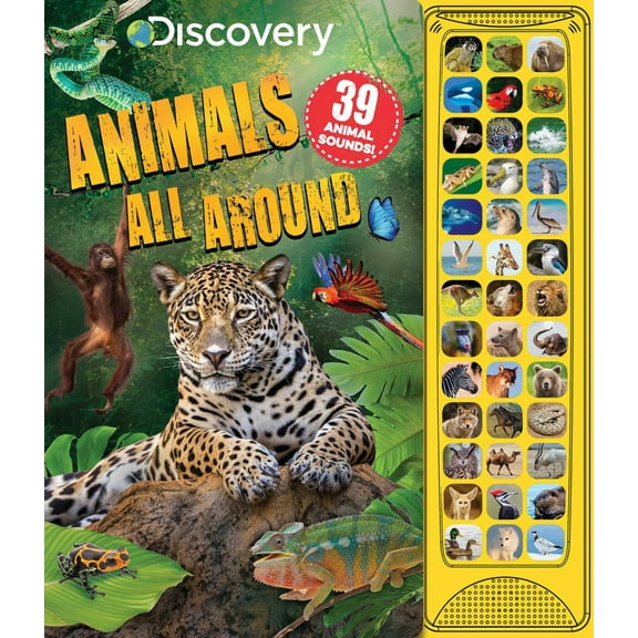 Discovery: Animals All Around (Board Book)