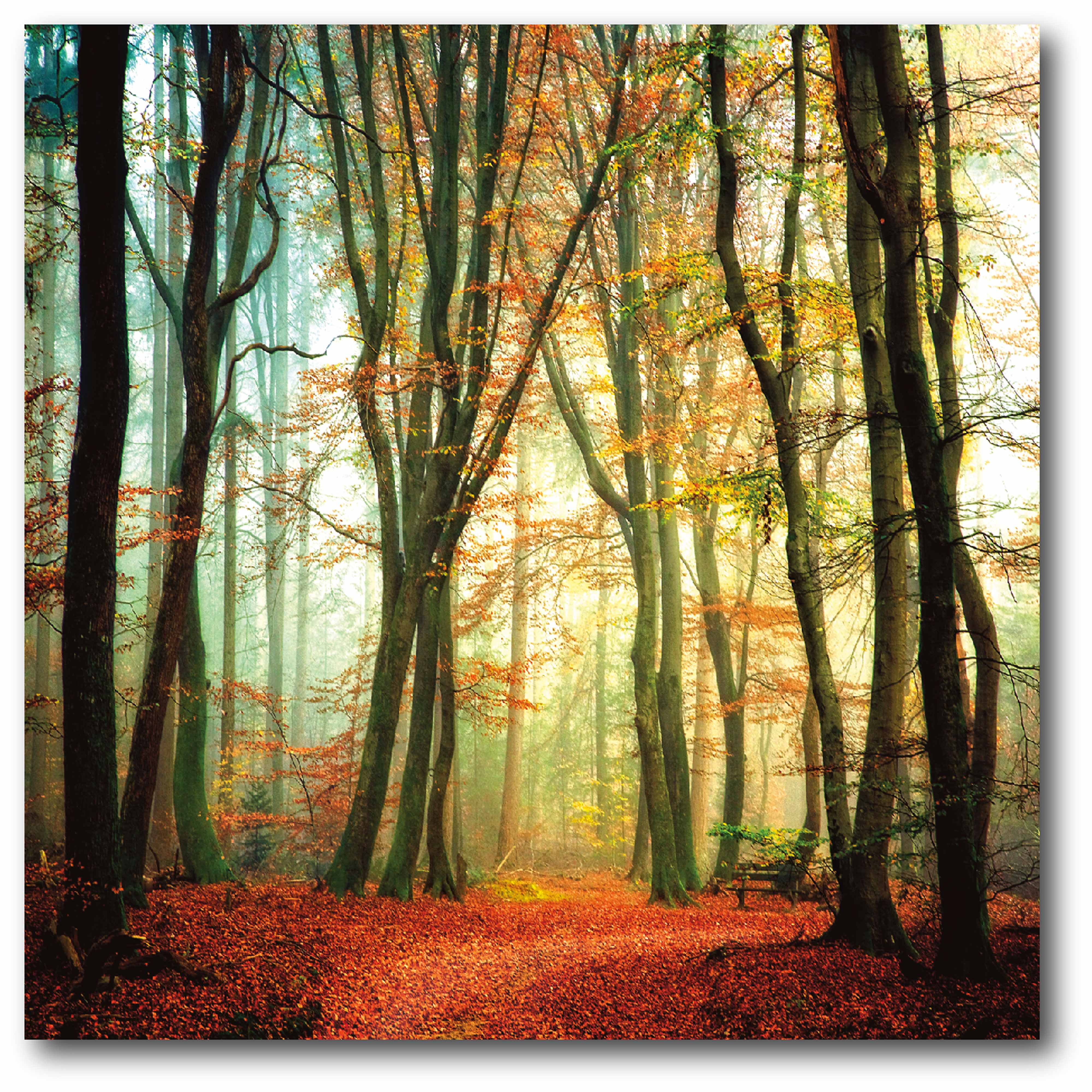Courtside Market Colorfall II Gallery-Wrapped Canvas Wall Art, 16x16