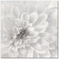 thumbnail image 1 of Courtside Market Dahlia 24"x24" Gallery-Wrapped Canvas Wall Art, 1 of 5