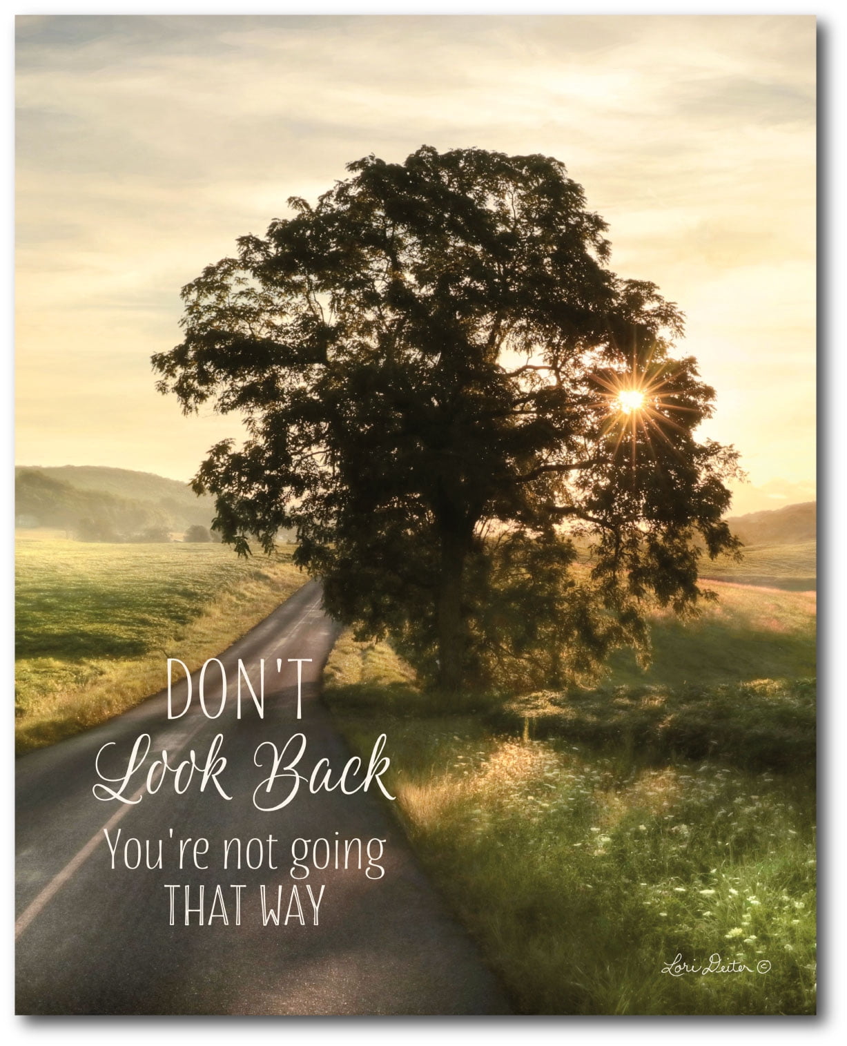 Courtside Market Don't Look Back Gallery-Wrapped Canvas Wall Art, 16x20
