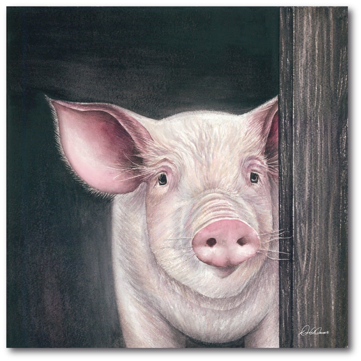 Courtside Market Farm Animal - Pig Gallery-Wrapped Canvas Wall Art, 16x16