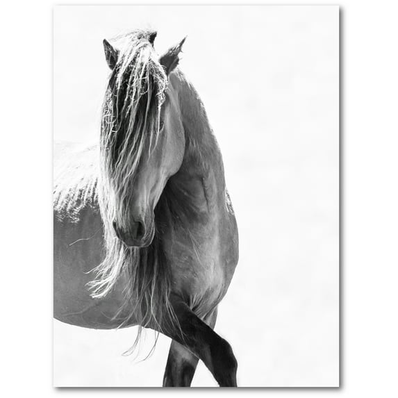 Courtside Market Majestic Horse 30"x40" Gallery-Wrapped Canvas Wall Art