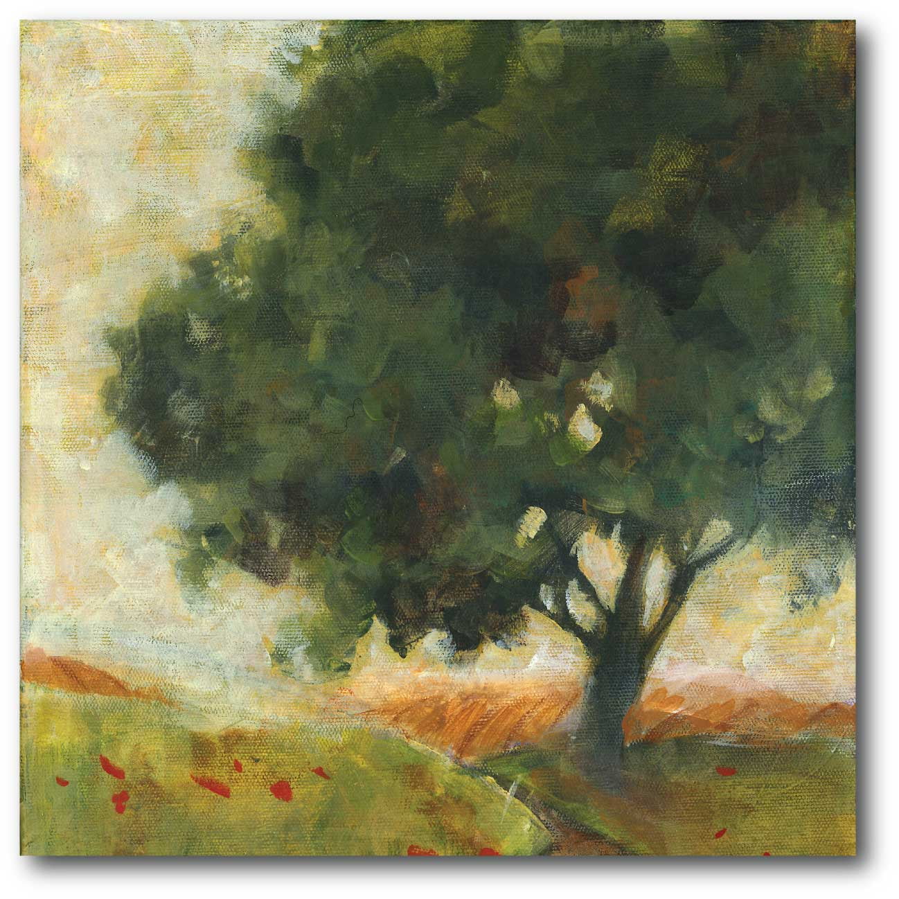 Courtside Market Napa Trees I Gallery-Wrapped Canvas Wall Art, 16x16