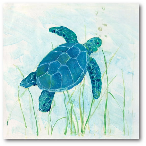 Courtside Market Reef Turtle I Gallery-Wrapped Canvas Wall Art, 16x16