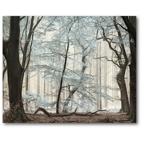 Courtside Market Silverwood Gallery-Wrapped Canvas Wall Art, 16x20