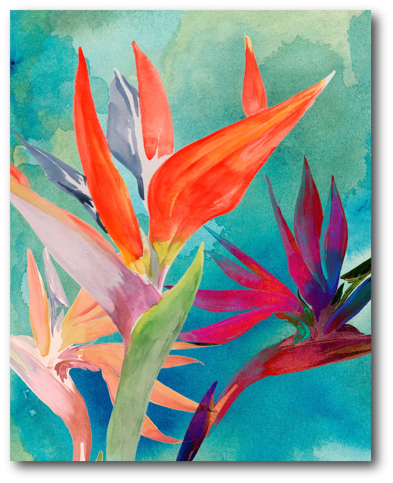 Courtside Market Vivid Birds of Paradise I Gallery-Wrapped Canvas Wall Art, 16x20