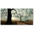 thumbnail image 1 of Courtside Market WEB-FF1370-24x48 24 x 48 in. Old Oak Gallery-Wrapped Canvas Wall Art, 1 of 1