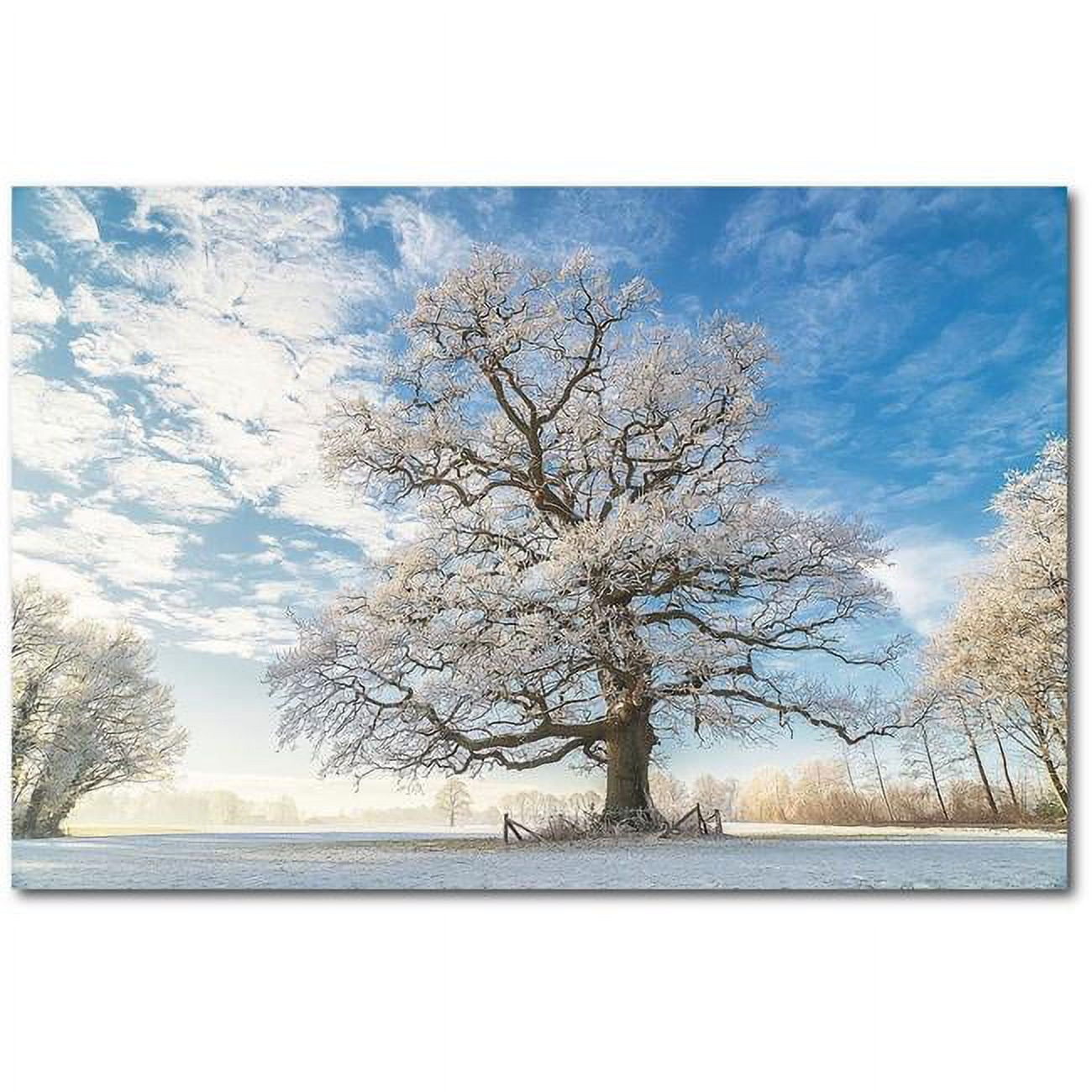 Cold Oak Winter Landscape Gallery-Wrapped Canvas Wall Art
