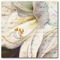 thumbnail image 1 of Courtside Market WEB-WW234-24x24 24 x 24 in. Lily Script I Gallery-Wrapped Canvas Wall Art, 1 of 1