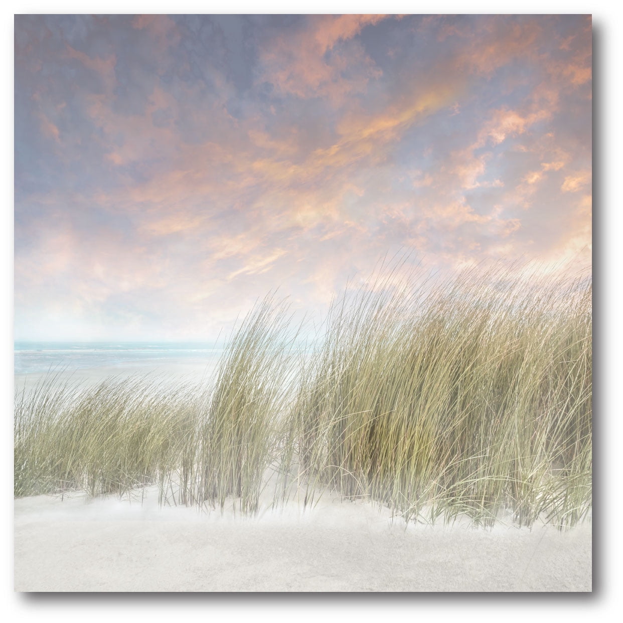Courtside Market Windswept II Gallery-Wrapped Canvas Wall Art, 16x16