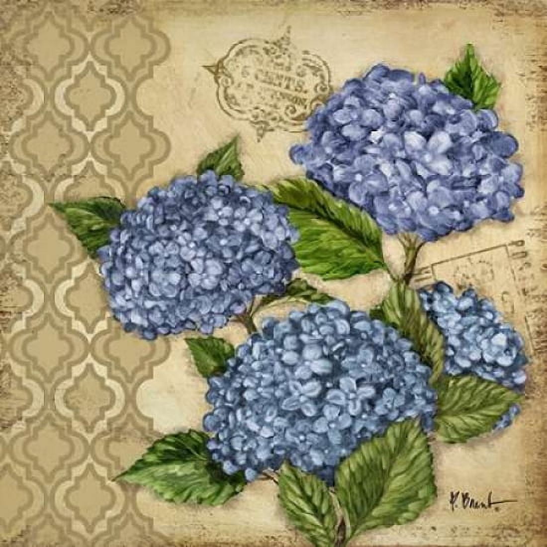 Courtyard Garden II Canvas Art - Paul Brent (24 x 24)