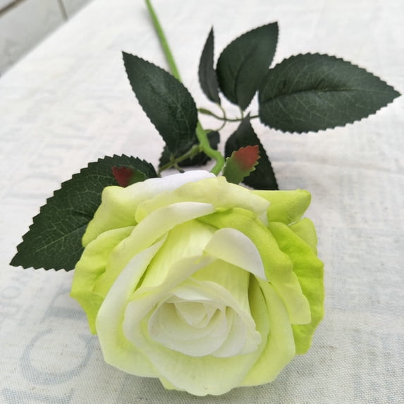 Courtyard balcony plants decorated DIY Colorful Rose flowers Valentine's Day gift