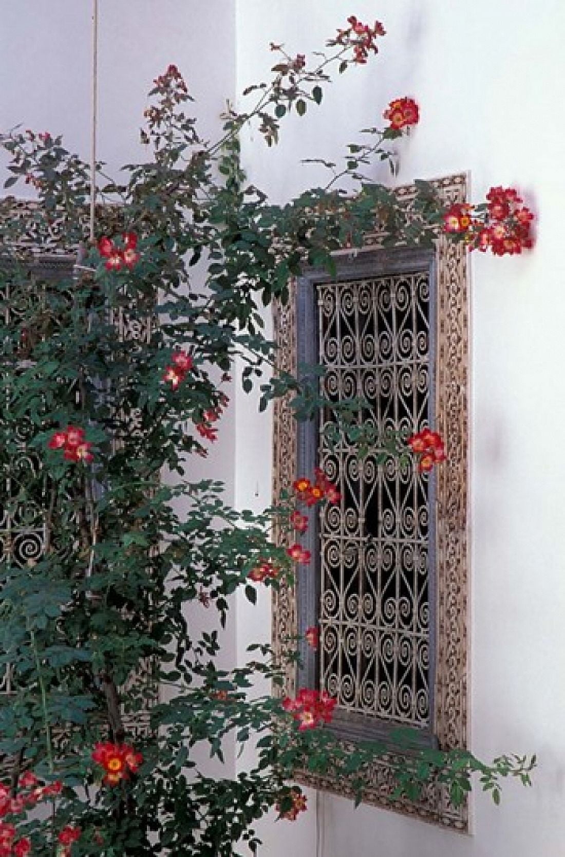 Courtyard with Zellij (Mosaic Tilework) Marrakech Morocco Canvas Art - John & Lisa Merrill DanitaDelimont (24 x 36)