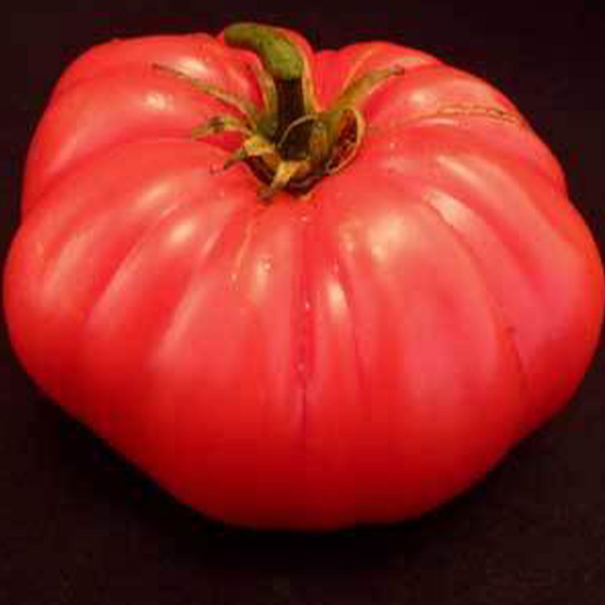 Coustralee Tomato Seeds 4 Oz – Heirloom, Non-GMO, Indeterminate Slicing Variety—Huge 2–3 lb Ribbed Red Tomatoes—Late Season, 85 Days—Humidity Tolerant—Open-Pollinated—Garden or Greenhouse