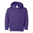thumbnail image 1 of Couver Toddler Fleece Long Sleeve Hooded Pullover Sweatshirt with Side Seam Pockets, PURPLE 4T, 1 of 4