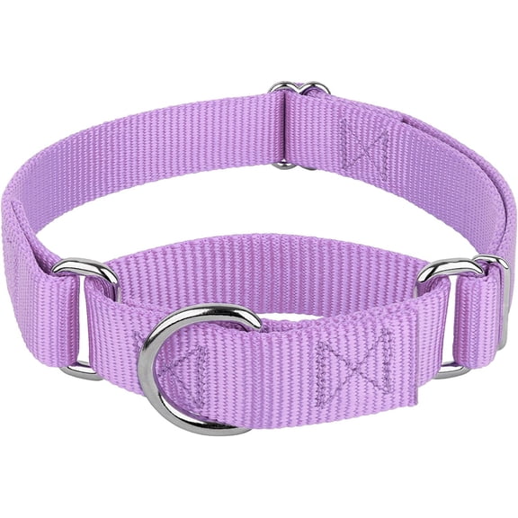 Couy Brook Petz - Martingale Dog Collar Heavy-Duty Training with No Buckle Service for All Pups 10+ Cool Colors (Lavender, 1 Inch, Medium)