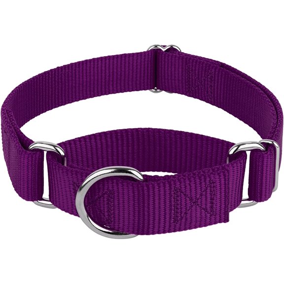 Couy Brook Petz - Martingale Dog Collar Heavy-Duty Training with No Buckle Service for All Pups 10+ Cool Colors (Purple, 1 Inch, Medium)